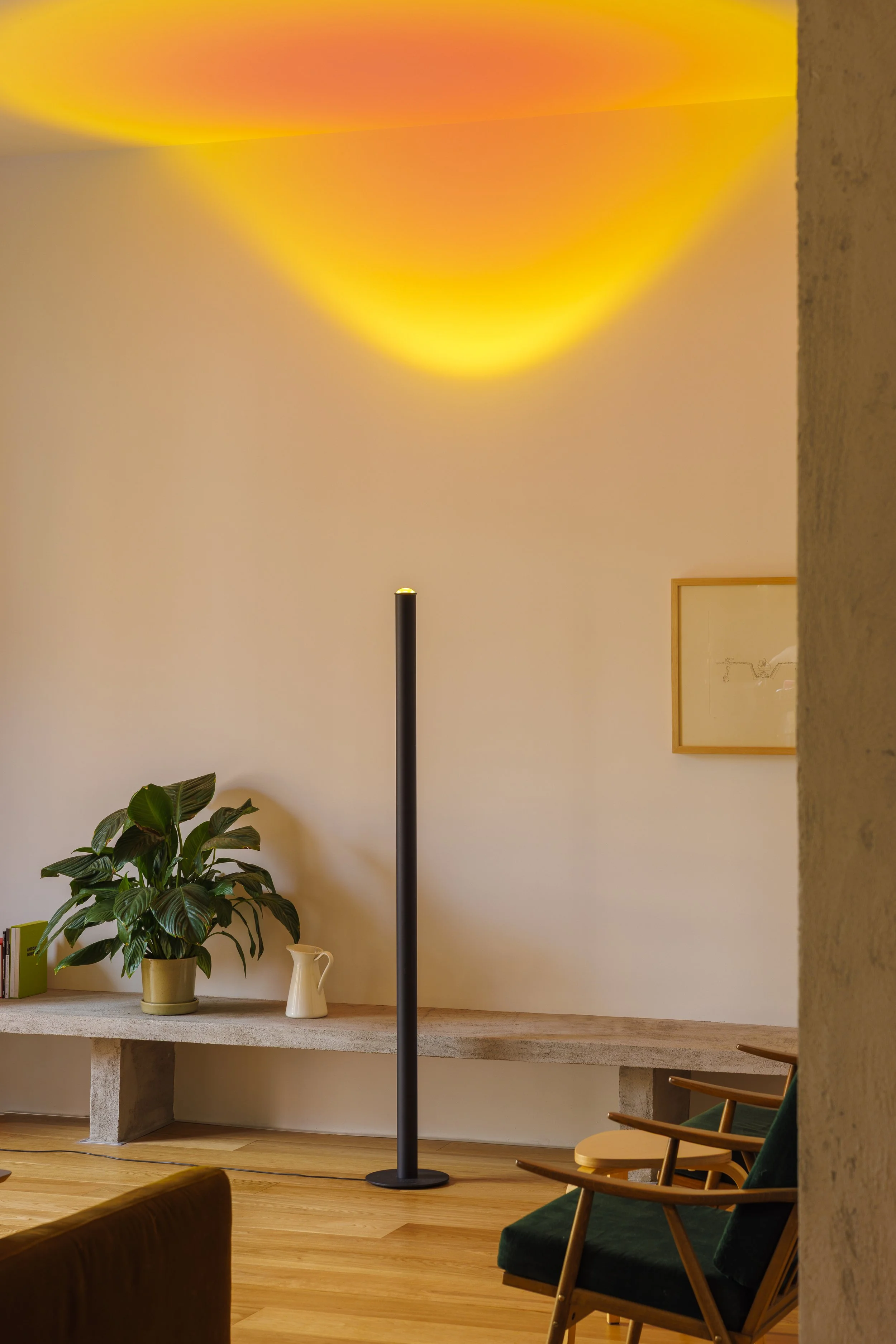 Halo Bold — Mandalaki Studio Official